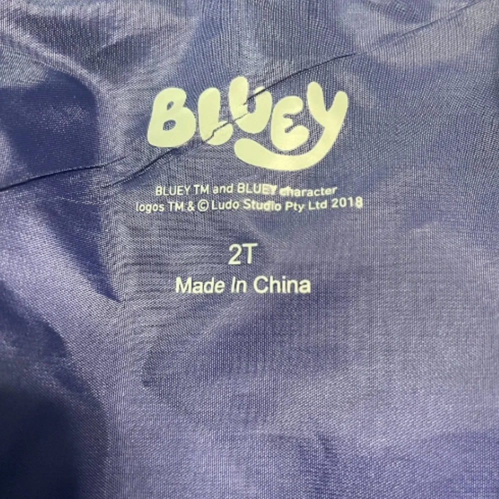 BLUEY  Blue Fleece Hoodie with Cartoon Patch